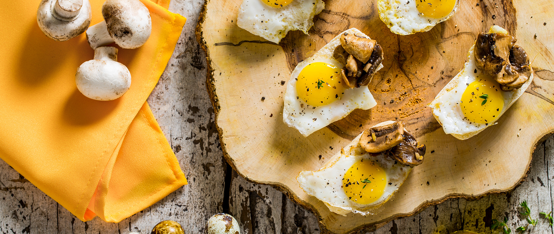 Montaditos de Nutrellinhas, ovo e cogumelos